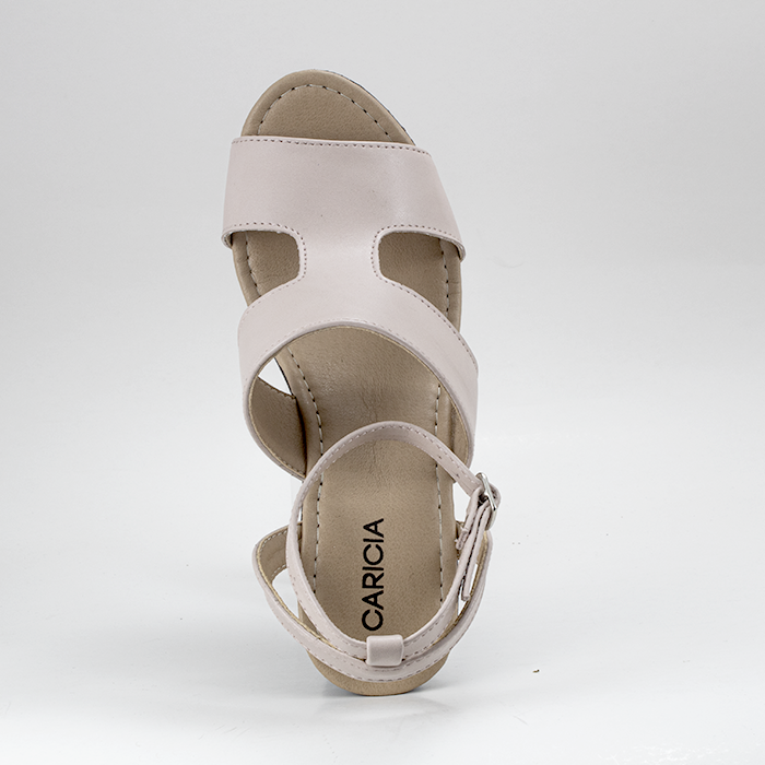CLAU - 16953