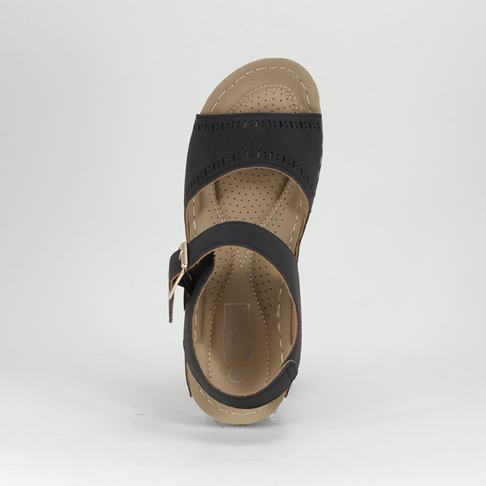 Claribel - W22240