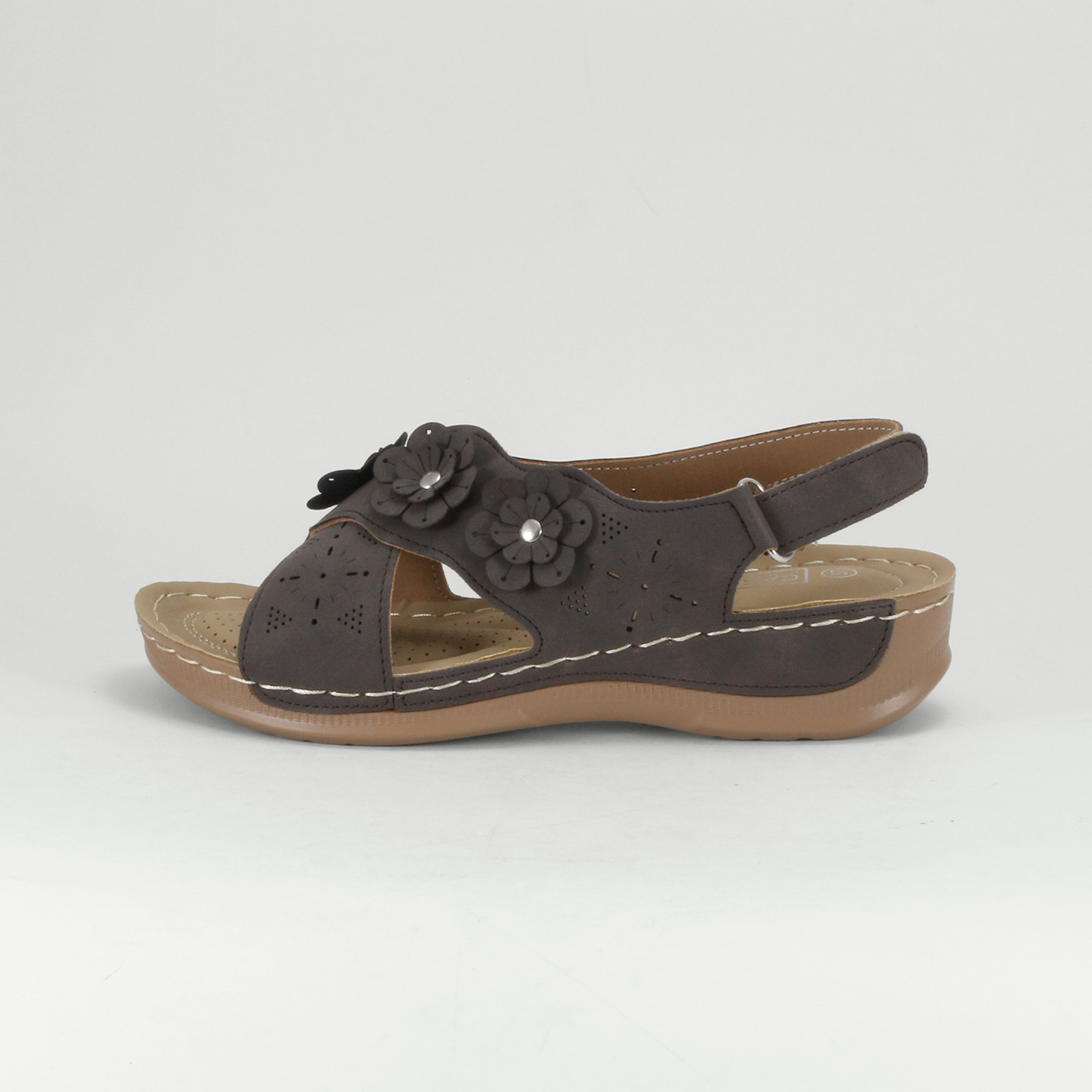 Cloe - W22236