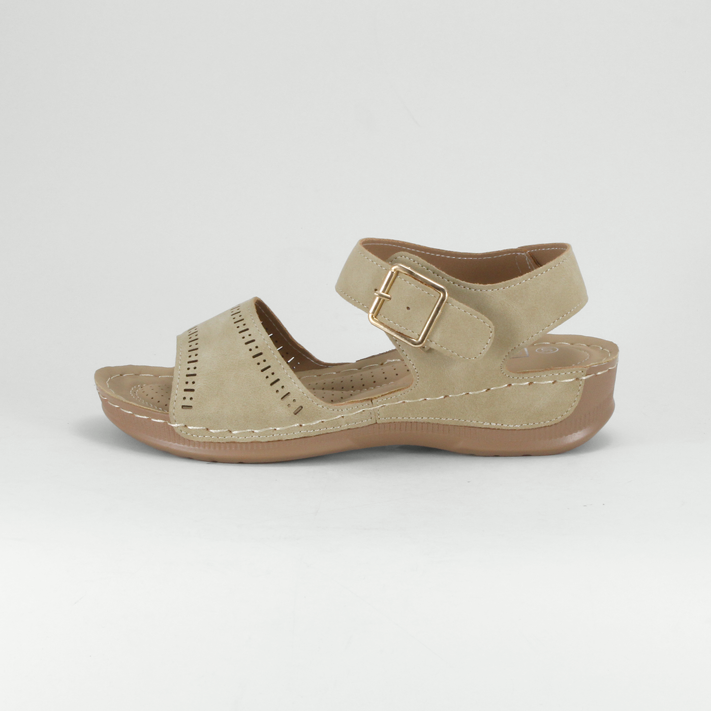Claribel - W22240