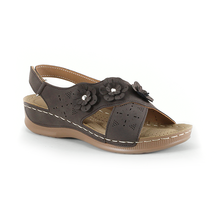 Cloe - W22236