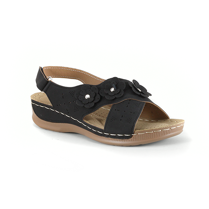 Cloe - W22236