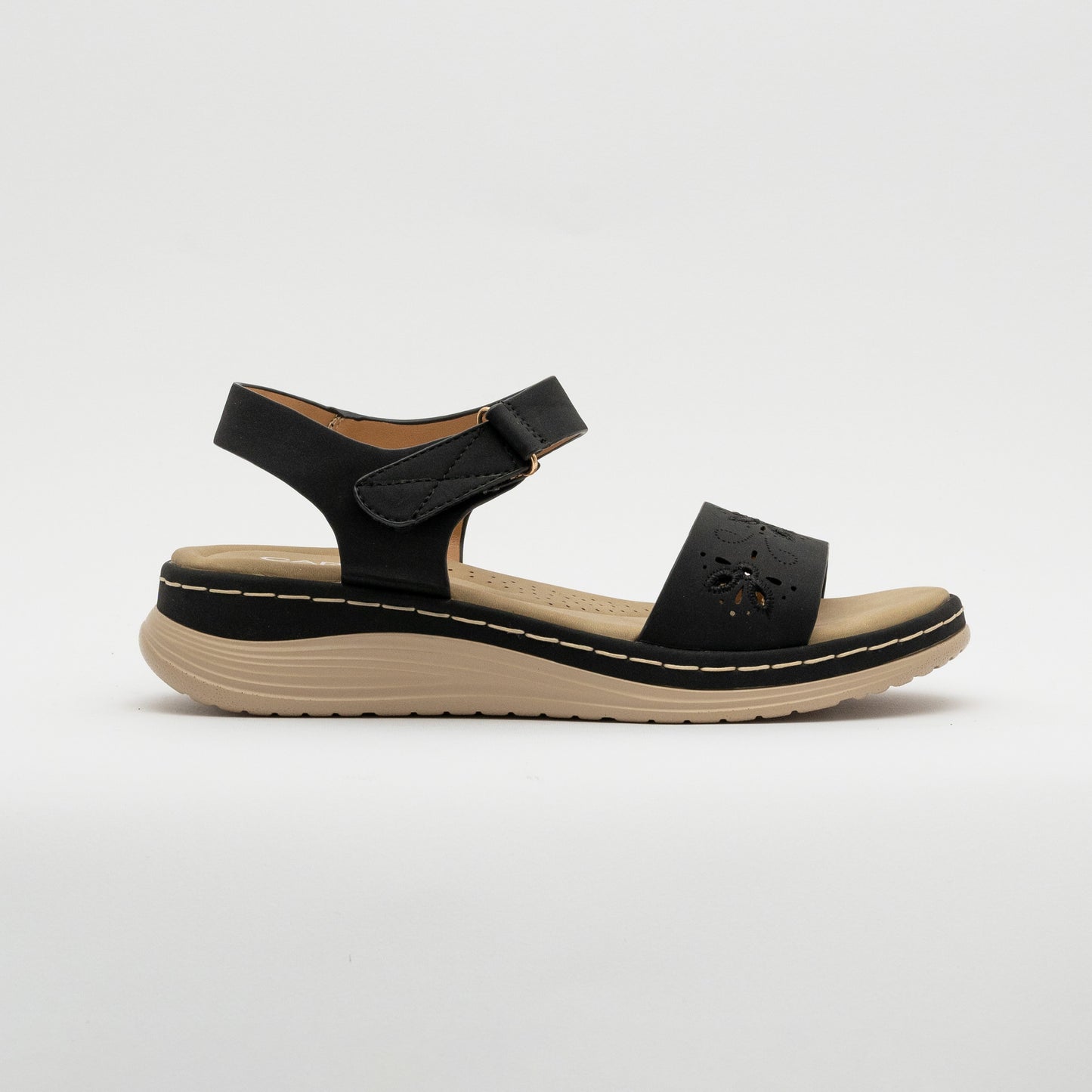 Carole - W22228