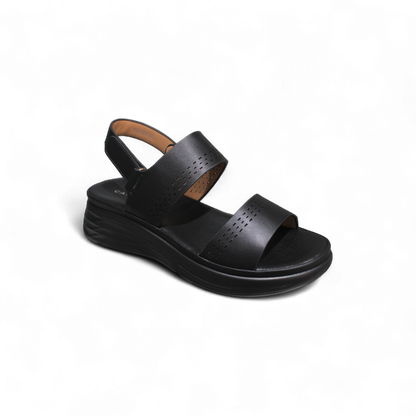 Marcelin- W25209
