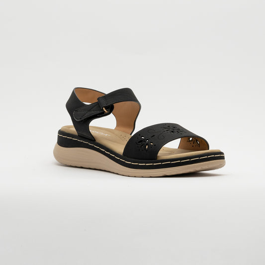 Carole - W22228